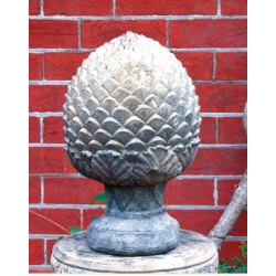 Globe artichoke